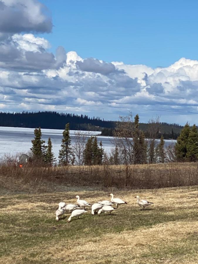 Tolsona Lake Lodge เกลนนัลเลน ภายนอก รูปภาพ